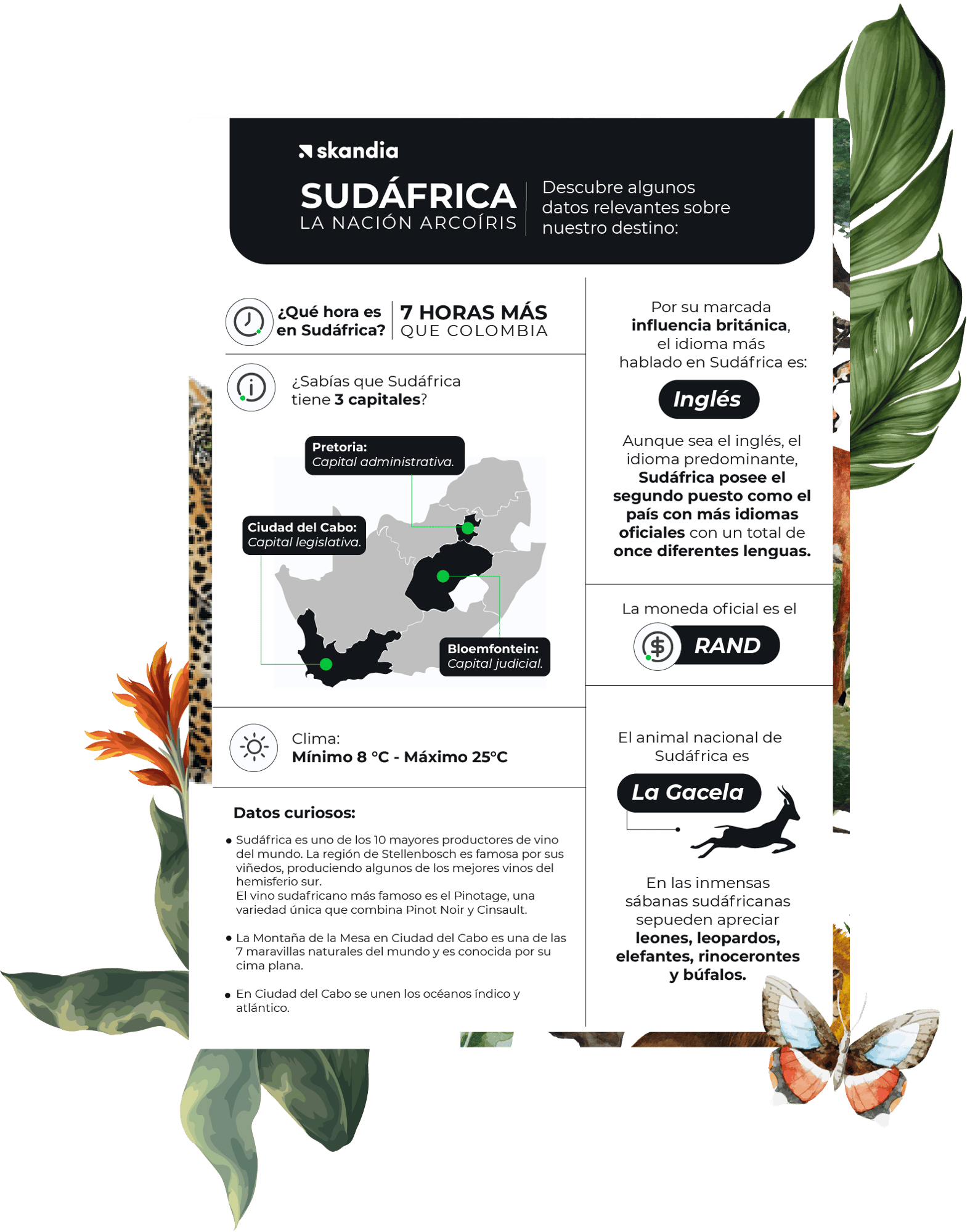 INFOGRAFIA-1