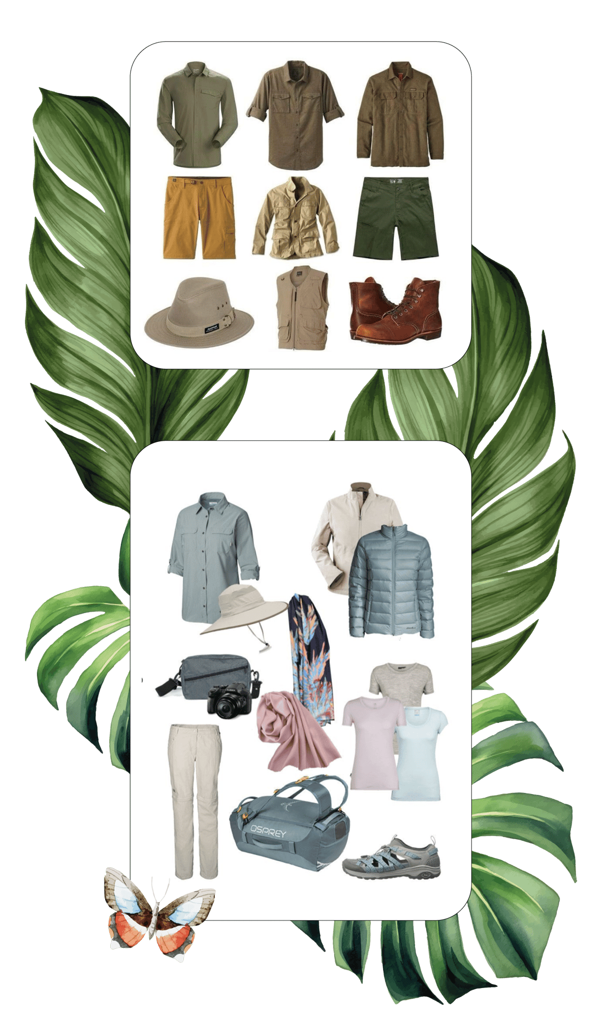 MICROSITE-SUDAFRICA-(DESCODE-SAFARI)-1