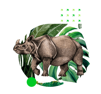 Rino-africa-3 Rino-africa-3