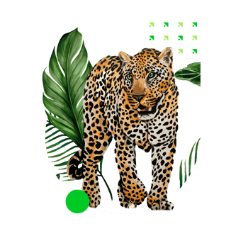 jaguar-africa-Sep-06-2024-05-55-10-7048-PM jaguar-africa-Sep-06-2024-05-55-10-7048-PM