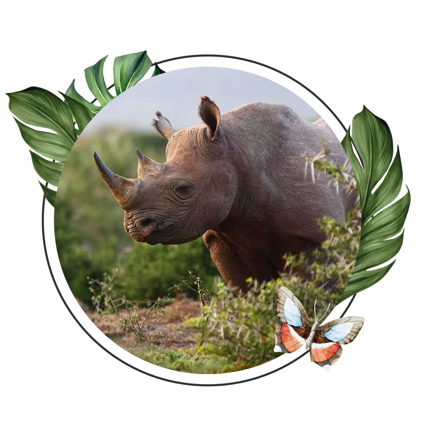 SHAMWARI-RESERVE-1 SHAMWARI-RESERVE-1